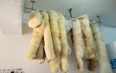 专业清洗汽车坐垫技术转让 阳泉车载产品技术转让方案